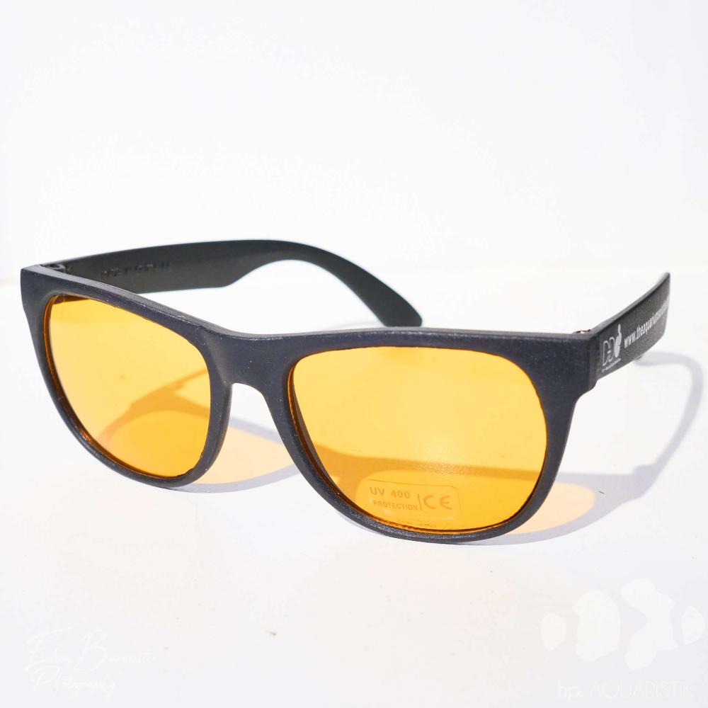 Korallen-Brille